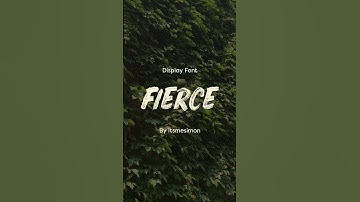 Top 6 Fonts You Need to Try 💫