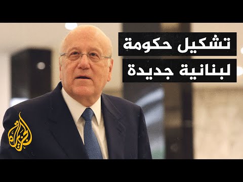 فيديو: ما هي أشكال الحكومة