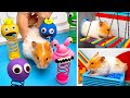 🐹 ハムスター用のクリエイティブなレインボーフレンズの迷路を作ろう！