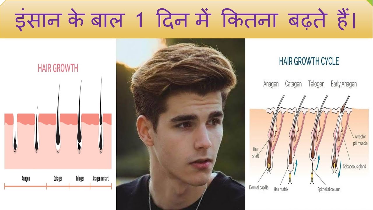 Hair growth in a day Amazing Facts in Hindi YouTube