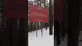 Скалы &quot;Петра Гронского&quot; #природа#зима#поход#путешествия#лес#туризм#горы#красота#shorts