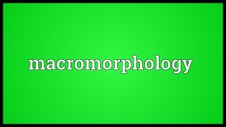 Macromorphology Meaning Wealth