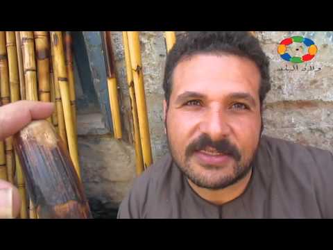 العصا بضاعة يحبها الصعايدة