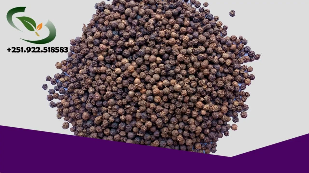 Buy Ethiopian Black Pepper @BULK supply price