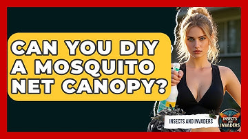 Can You DIY A Mosquito Net Canopy? - Insects and Invaders