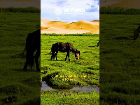 discovermongolia.mn ✈️