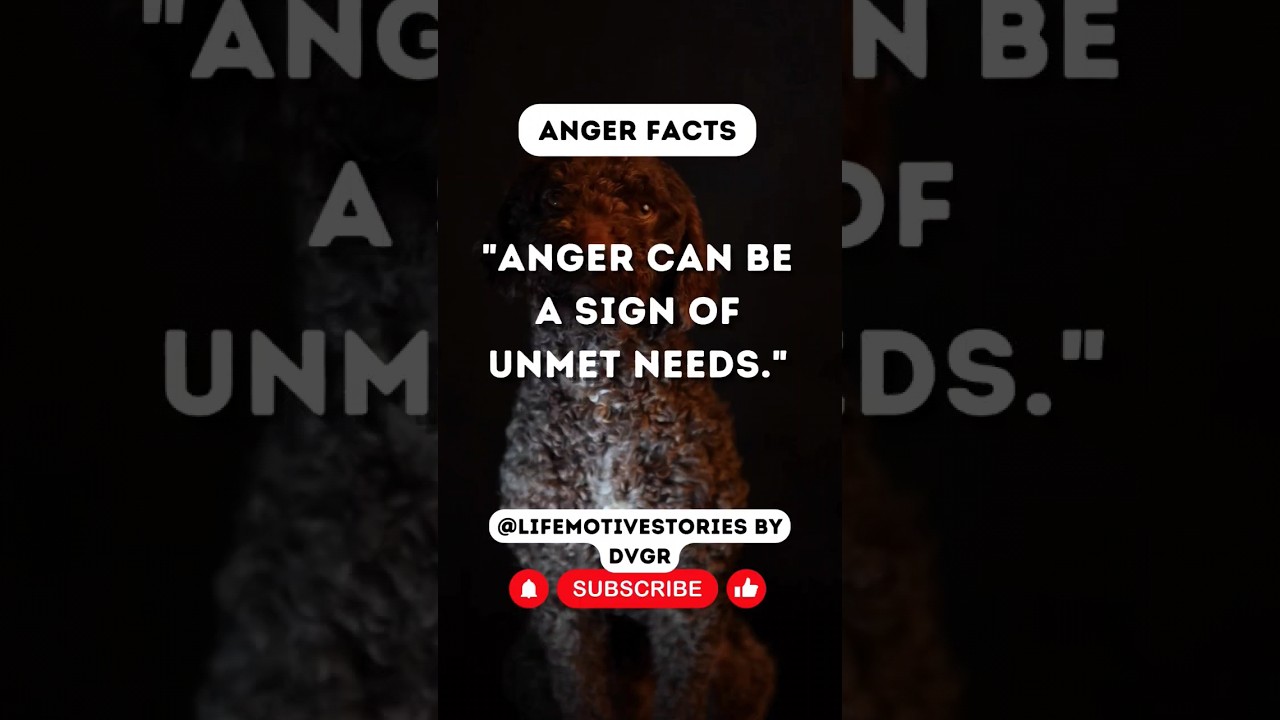 𝗔𝗻𝗴𝗲𝗿 😠😤😡 #shorts #short #shortvideo #shortsvideo #youtubeshorts #youtuber #subscribe #status #angry