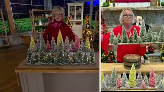 Athlete Statistics Barbara King 36" Illuminated Bottlebrush Tree Collection Table Scape on QVC