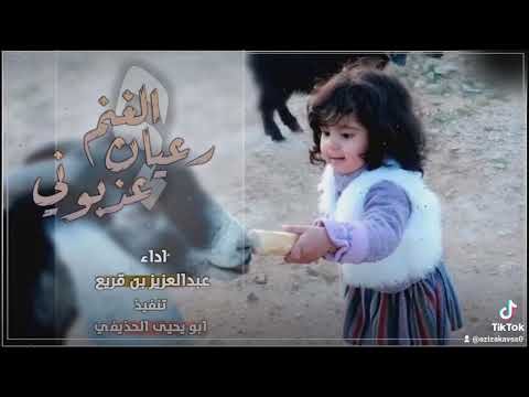 يا سليمان رعيان الغنم عذبوني شيله شيلات ابيات من ذهب