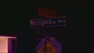 Springfield homicide victim identified