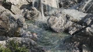Forest stream - Test - Corona Render - Phoenix FD - Liquid - Foam