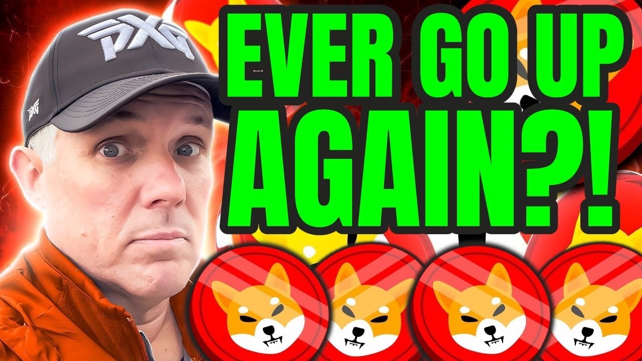 ПОДНИМЕТСЯ ЛИ КОГДА-НИБУДЬ СНОВА СИБА-ИНУ?!