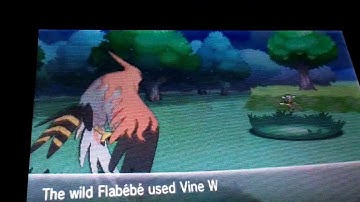[MM] Pokemon X - Shiny Eevee! After 287 Eggs.