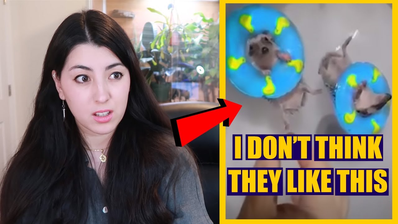 PET YouTuber reacts to PROBLEMATIC Animal TikTok Videos | EMZOTIC