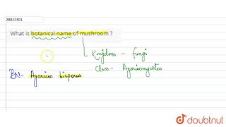 What is botanical name of mushroom ?