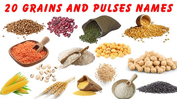 Grains Name for Kids | Pulses Names in English | Cereals Name Vocabulary | Millets Dal Pulses Name