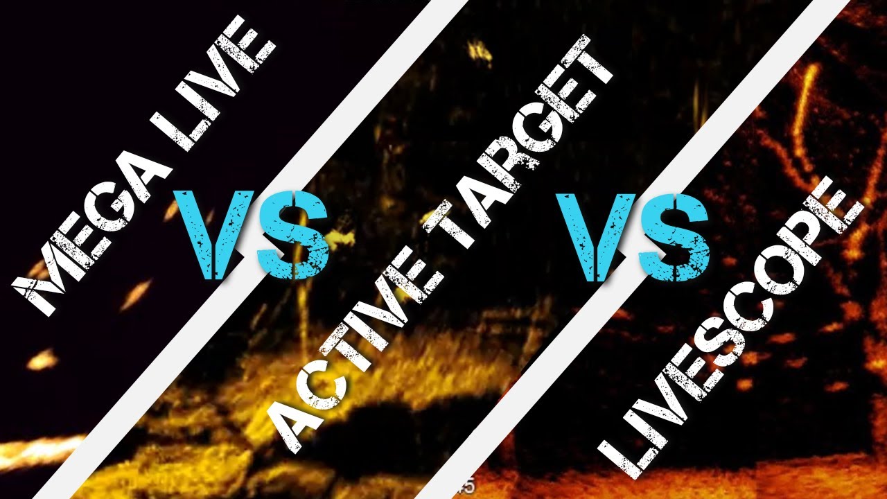 Download LiveScope VS. Mega Live VS. Active Target - Which One Should You Buy?