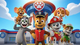 Tom And Jerry Meet Paw Patrol Fun Adventure For Kids
