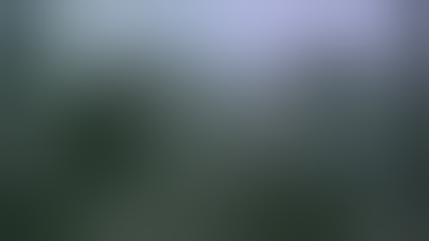 Buffalo Springfield - For what it