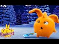 SUNNY BUNNIES - Winter Freeze | Season 1 | Cartoons for Children