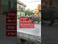 Una pelea de rinocerontes en la calle sorprende a turistas en Nepal