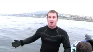 Preventing Sea Urchin Orgies