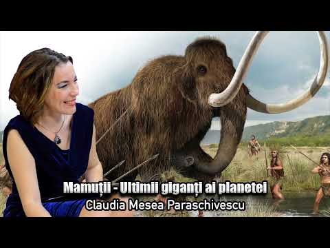 Video: Mamut lânos: descriere, comportament, distribuție și extincție