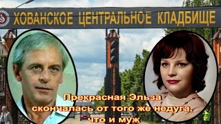 Эльза Леждей И Всеволод Сафонов. Хованское Кладбище