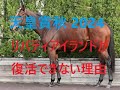 天皇賞秋 2024 リバティアイランドは終わった？４歳馬の逆襲が始まる