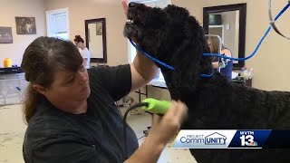 Open For Business My Spoiled Pet