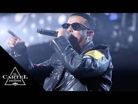 Daddy Yankee - Kingdom | Madison Square