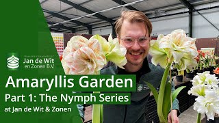 Amaryllis garden | Part 1: The Nymph Series | English | Jan de Wit en Zonen