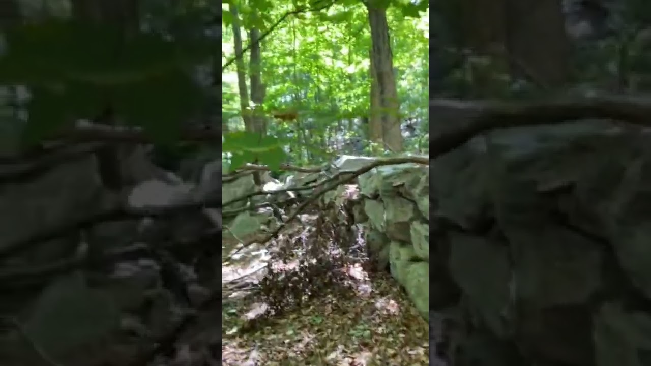 Massive abandoned foundation in the woods