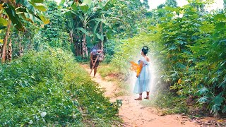 EVIL PRIESTESS |The Maiden Warrior Came With Python Powers To STOP The Evil Priestess-African Movies