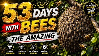 I Lived with Bees for 53 Days – The Truth Will Surprise You! 🐝#Bees #BeeSwarm #HoneyBee #Nature