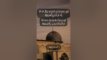 سورة الأنفال الآية ٦١ الى ٦٣ بصوت الشيخ محمد صديق المنشاوي