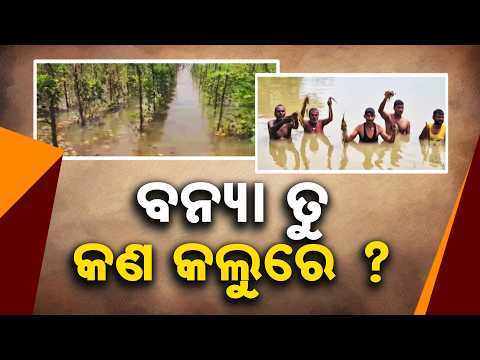 Odisha Flood! Water Recedes but Misery Continues, Farmers Left in Tears Over Destroyed Crops