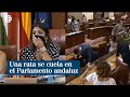 Una rata se cuela en el Parlamento de Andalucía y provoca un gran revuelo entre los diputados