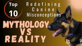 Unveiling the Truth About #misunderstood #breeds .#mythology #debunking #unfair #myths #behavior by BreedSpot - Spotting the best dog breeds 1,643 views 6 months ago 18 minutes