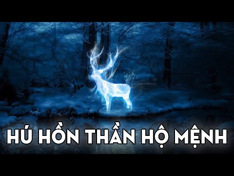 Video: Đai trinh tiết - thần hộ mệnh