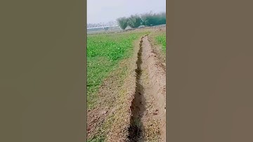 My first vlog 🥰 my first vlog 2023 #shorts #youtubeshorts #myfirstvlog #viral