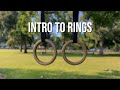 Intro to Rings - Set up | Body stability | Beginner Exercises