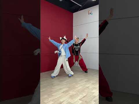 Zoo Zootopia 2 Disney Shakira Dance Cover Aoiskadi 