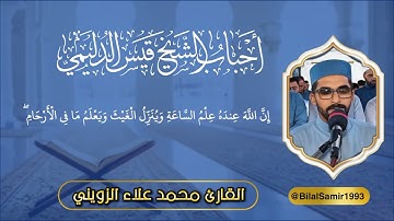 القارئ محمد علاء الزويني