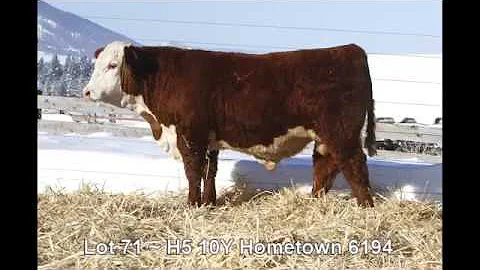 Lot 71 ~ H5 10Y Hometown 6194