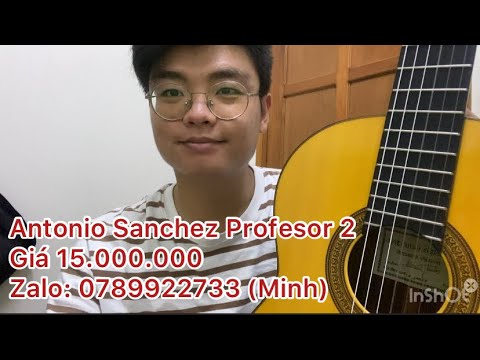 Giới thiệu Antonio Sanchez Profesor 2 (full solid) giá chỉ 15 