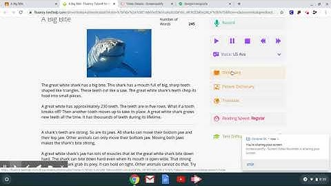 Fluency tutor for Students