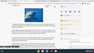 Fluency tutor for Students