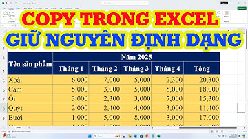 Cách copy trong Excel giữ nguyên định dạng