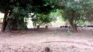 WP 20130907 038